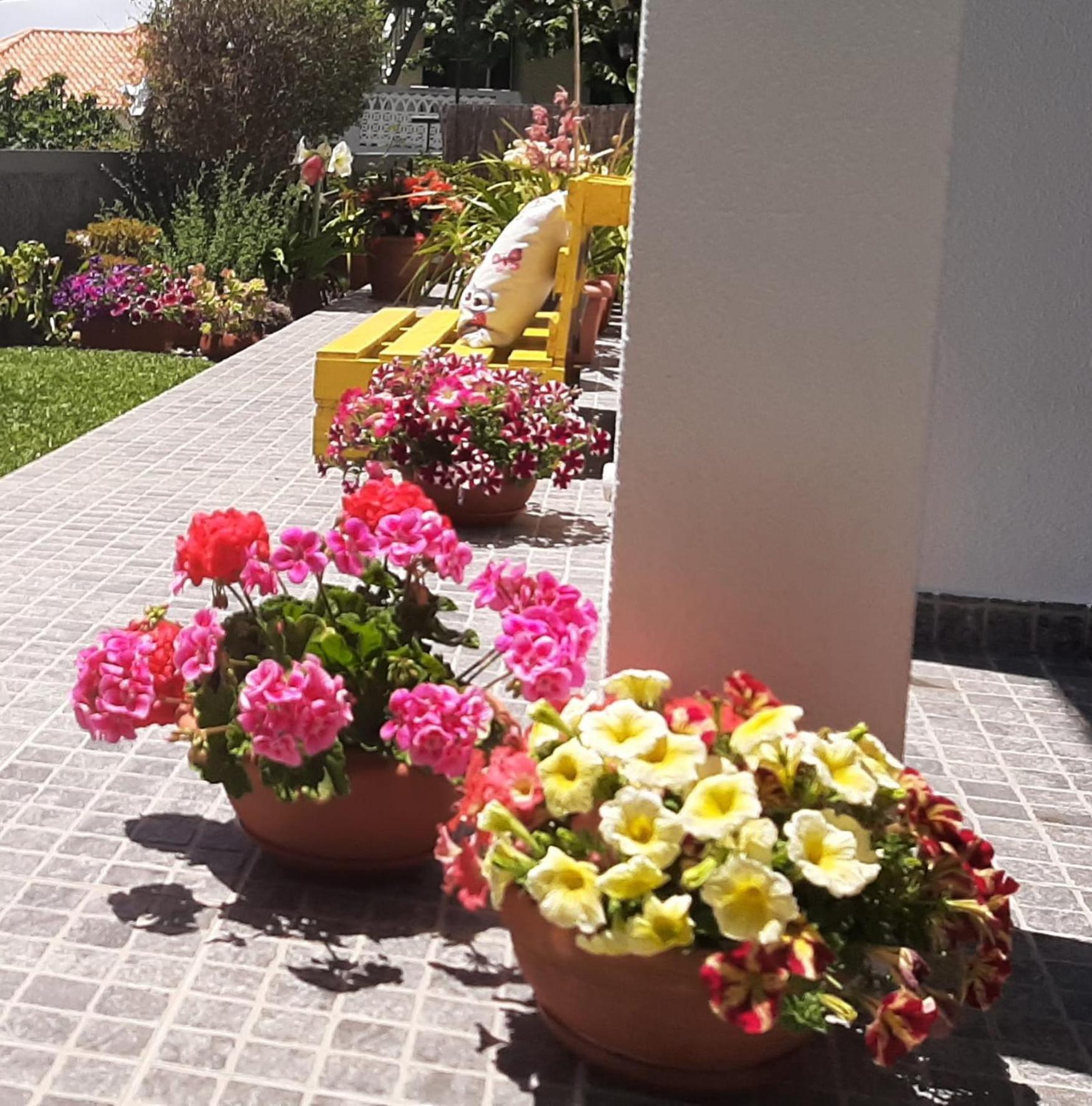 Villa Casa Ventura Arco da Calheta  Exterior foto